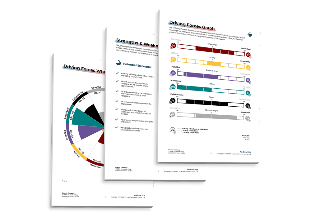 DISC Assessment