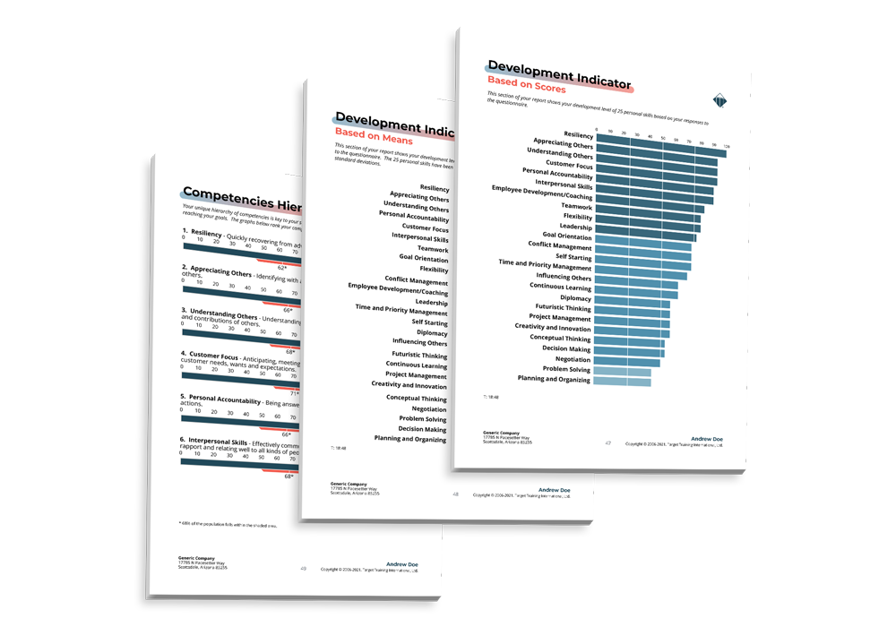 DISC Assessment