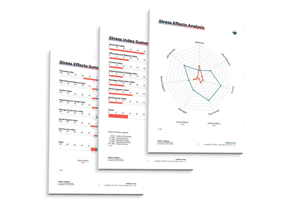 DISC Assessment